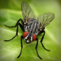 /album/tratamfecna/photolia-a01-jpg/