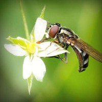 /album/tratamfecna/photolia-a02-jpg/