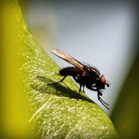 /album/tratamfecna/photolia-a04-jpg/
