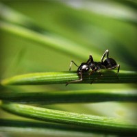 /album/tratamfecna/photolia-a05-jpg/