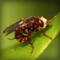 /album/tratamfecna/photolia-a06-jpg/