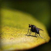 /album/tratamfecna/photolia-a07-jpg/