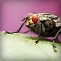 /album/tratamfecna/photolia-a08-jpg/